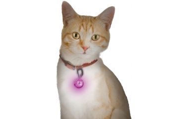 Image of Nite Ize PetLit LED Collar Light, White LED - Jewel Pink PCL02-03-12JE