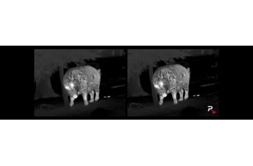 Image of NOCPIX 4x 50mm ACE H50R Rangefinding Thermal Weapon Sight w/Ocular Zoom, 640x512 Sensor, Black, ACE-H50R