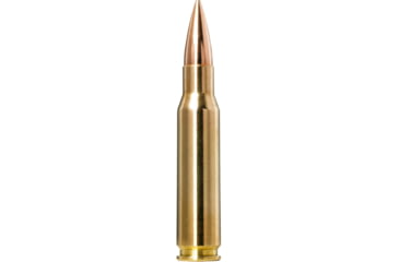 Image of Norma Golden Target .308 WIN 168 Grain Boat Tail Hollow Point Brass Cased Rifle Ammo, 20 Rounds, 10177432