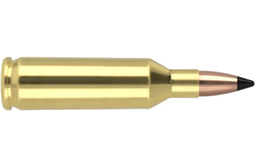 Image of Nosler .17 Remington Fireball, Flat Base Tipped , 20 grain, Brass Cased, 20 Rounds, 63100