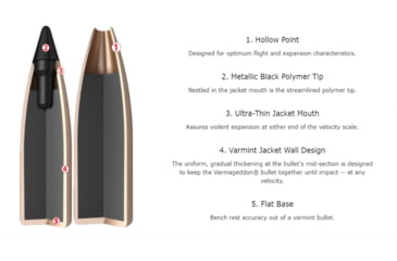 Image of Nosler .17 Remington Fireball, Flat Base Tipped , 20 grain, Brass Cased, 20 Rounds, 63100