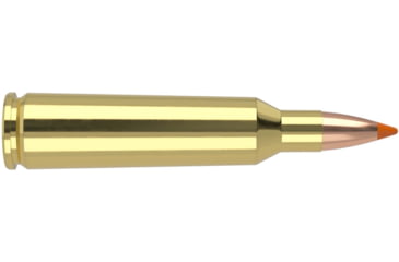 Image of Nosler .22-250 Remington, Ballistic Tip , 55 grain, Brass Cased, 20 Rounds, 61034