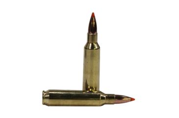 Image of Nosler 22 55gr Ballistic Tip /20 60015