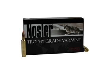 Image of Nosler 22 55gr Ballistic Tip /20 60015