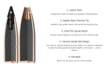 Image of Nosler .22 Nosler, Flat Base Hollow Point, 62 grain, Brass Cased, 20 Rounds, 65180