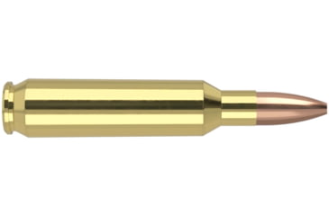 Image of Nosler .22 Nosler, Flat Base Hollow Point, 62 grain, Brass Cased, 50 Rounds, 65180