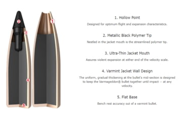 Image of Nosler .22 Nosler, Flat Base Tipped , 53 grain, Brass Cased, 20 Rounds, 65177