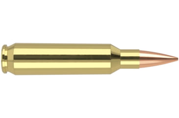 Image of Nosler .22 Nosler, Round Nose Flat , 70 grain, Brass Cased, 20 Rounds, 60124