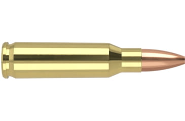 Image of Nosler .221 Remington Fireball, Flat Base Hollow Point, 40 grain, Brass Cased, 20 Rounds, 65120