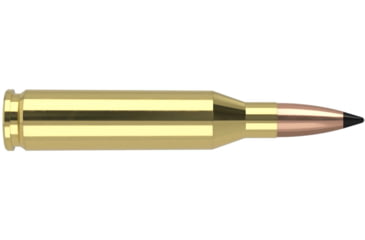 Image of Nosler .243 Winchester, Flat Base Tipped , 70 grain, Brass Cased, 20 Rounds, 61029