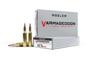 Image of Nosler .243 Winchester, Flat Base Tipped , 70 grain, Brass Cased, 20 Rounds, 61029
