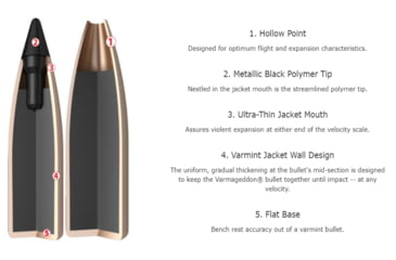 Image of Nosler .243 Winchester, Flat Base Tipped , 70 grain, Brass Cased, 20 Rounds, 61029