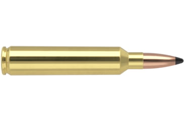 Image of Nosler .28 Nosler, Partition , 160 grain, Brass Cased, 20 Rounds, 61010