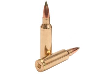 Image of Nosler 300 WSM 180gr E-Tip /20 60079