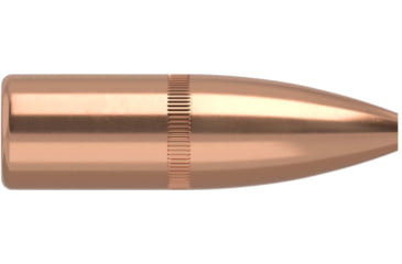 Image of Nosler 35631 Varmageddon 22 Caliber .224 62 GR Flat Base Hollow Point FBHP 10