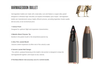 Image of Nosler Varmageddon .204 Ruger 32 Grain Flat Base Tipped Brass Cased Centerfire Rifle Ammo, 20 Rounds, 65115