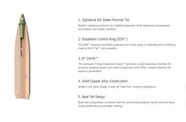 Image of Nosler 9.3x62mm Mauser 250 Grain E-Tip Brass Cased Centerfire Rifle Ammo, 20 Rounds, 40393
