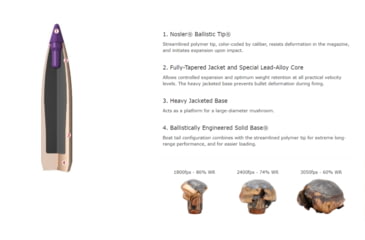 Image of Nosler Ballistic Tip Hunting Rifle Bullet .30 Caliber 165 Grains, 50 Bullets, 30165