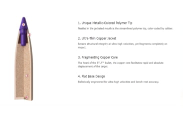 Image of Nosler Ballistic Tip Lead Free Varmint Rifle Bullet .22 Caliber 40gr, 100ct, 45160