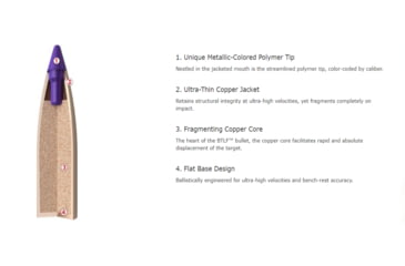 Image of Nosler Ballistic Tip Lead Free Varmint Rifle Bullet 6mm 55gr, 100ct, 45170