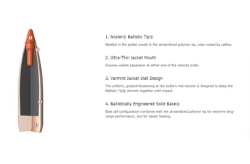 Image of Nosler Ballistic Tip Varmint Rifle Bullet .22 Caliber 40gr, 1000ct, 62634