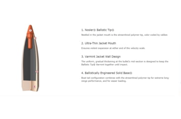 Image of Nosler Ballistic Tip Varmint Rifle Bullet .22 Caliber 55gr, 1000ct, 11288