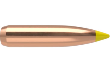 Image of Nosler Bullet 270 cal 170gr Ballistic Tip, 50ct, 28135