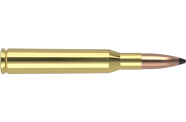 Image of Nosler 40132 30-06Springfield 150gr 20 Per Box/10 Case