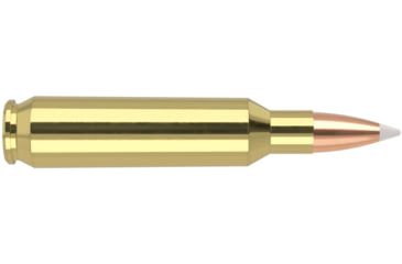 Image of Nosler Trophy Grade .22 Nosler 70 Grain Jacketed Soft Point Brass Cased Centerfire Rifle Ammo, 20 Rounds, 60918