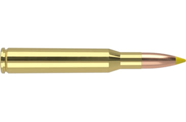Image of Nosler Trophy Grade .300 Remington Short Action Ultra Magnum 180 Grain Nosler Partition Brass Cased Centerfire Rifle Ammo, 20 Rounds, 60062