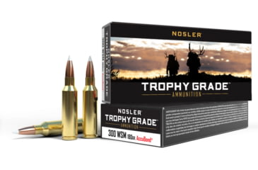 Image of Nosler Trophy Grade .300 Winchester Short Magnum 180 Grain AccuBond Brass Cased Centerfire Rifle Ammo, 20 Rounds, 60063