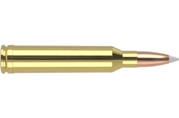 Image of Nosler Trophy Grade