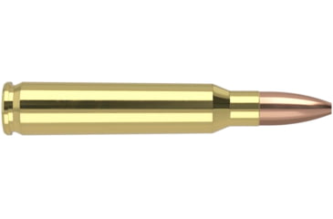 Image of Nosler Varmageddon .223 Remington 62 Grain Flat Base Hollow Point Brass Cased Centerfire Rifle Ammo, 20 Rounds, 40223