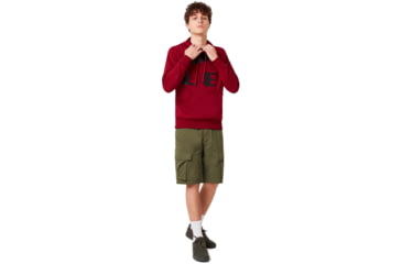 Image of Oakley Big Logo Ellipse Hoodie - Mens, Raspberry, Small, 472589-45A-S