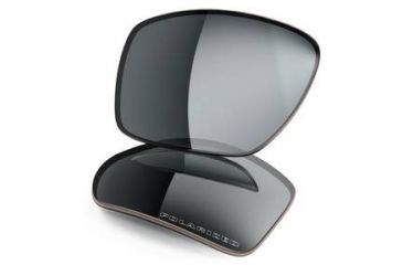Image of Oakley Big Taco Replacement Lenses, Grey Polarized 41-804