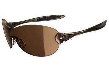 Image of Oakley Compulsive Black Chrome Frame w/ Tungsten Iridium Lenses Sunglasses 05-354