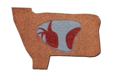 Image of Oncore Targets Deer Vitals Self-Healing Archery Target, Brown/White/Grey/Red, Medium, D9