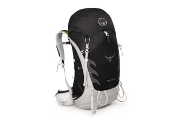 Image of Talon 44 Pack -Onyx Black-S/M