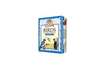 Image of Outset Media Prof Noggin-birds Of N.america 10414