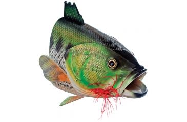 Image of Outside Inside Large Mouth Bass Birdhouse 99806