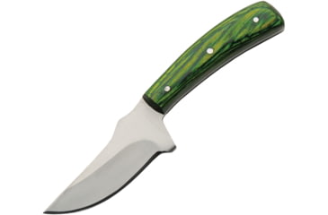 Image of Pakistan Umbra Forest Skinner, PA203508