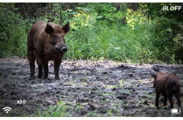 Image of Pard 019 1-18x 32mm Night Vision Monocular Scope, Black, NV-019