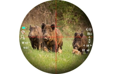 Image of PARD Optics DS35 Day and Night Vision Rifle Scope, Laser Rangefinder, 5.6x70mm, 850nm IR, 2560x1440 px, Multiple Reticles, Black, DS35-70RF-850