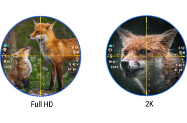 Image of PARD Optics DS35 Day and Night Vision Rifle Scope, Laser Rangefinder, 5.6x70mm, 850nm IR, 2560x1440 px, Multiple Reticles, Black, DS35-70RF-850