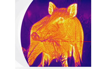 Image of PARD Optics Pantera 640 3.8x75mm 30mm Tube Thermal Imaging Rifle Scope, 50hz, 640x512, Black, PA6-75/LRF