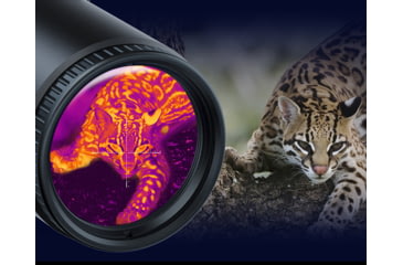 Image of PARD Optics TS34 2x19mm Thermal Imaging Rifle Scope, Black, TS34-19