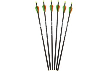 Image of Parker Hunter Crossbow Bolts, 20 in. Capture Nock 6 pk., 38-220