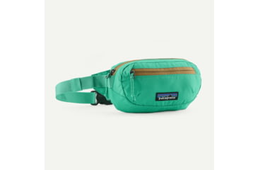 Image of Patagonia Patagonia Terravia Mini Hip Pack, 49448-WSTO-ALL