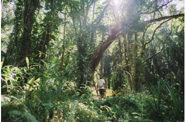 Image of Peak Design V2 Everyday Totepack, 20 Liters, Bone, BEDTP-20-BO-3