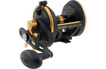 Image of Penn Squall Star Drag Reel, 30 180493